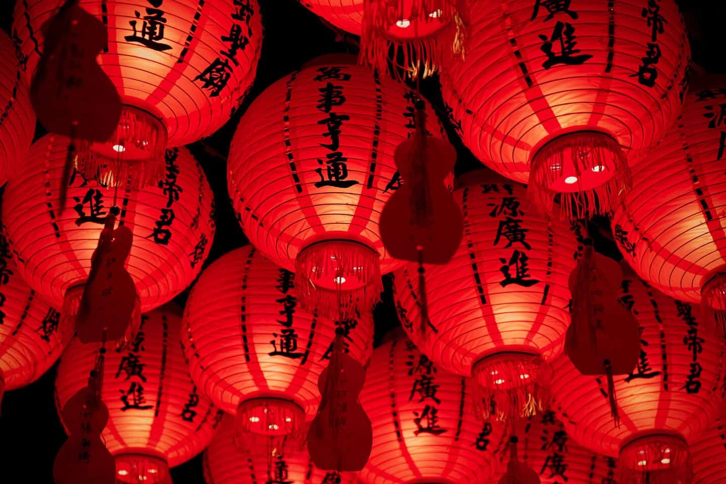 Image for Vibrant Culture and Traditions