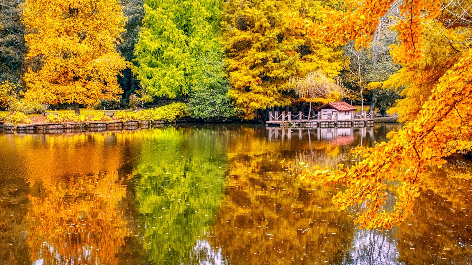 Image for Autumn in Turkey: Crisp Air and Beautiful Fall Foliage